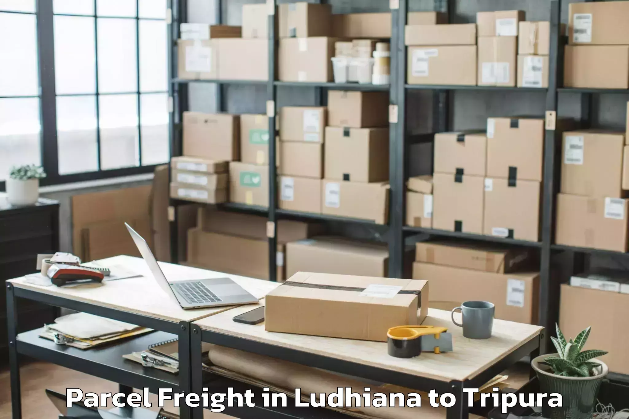 Book Your Ludhiana to Manughat Parcel Freight Today